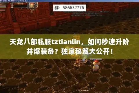天龙八部私服tztianlin，如何秒速升阶并爆装备？独家秘笈大公开！
