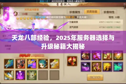 天龙八部经验,2025年服务器选择与升级秘籍大揭秘 天龙八部经验,2025年服务器选择与升级秘籍大揭秘