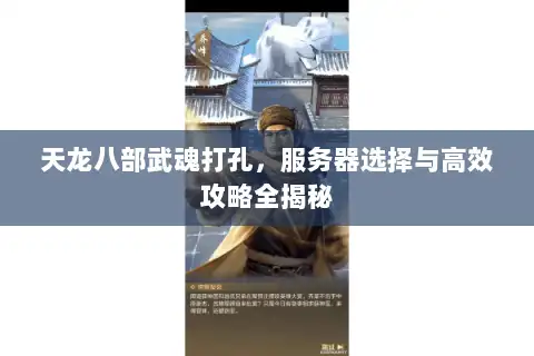 天龙八部武魂打孔,服务器选择与高效攻略全揭秘 天龙八部武魂打孔,服务器选择与高效攻略全揭秘