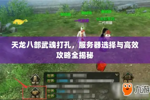 天龙八部武魂打孔,服务器选择与高效攻略全揭秘 天龙八部武魂打孔,服务器选择与高效攻略全揭秘