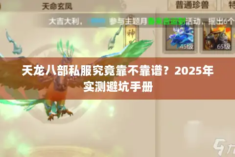 天龙八部私服究竟靠不靠谱？2025年实测避坑手册
