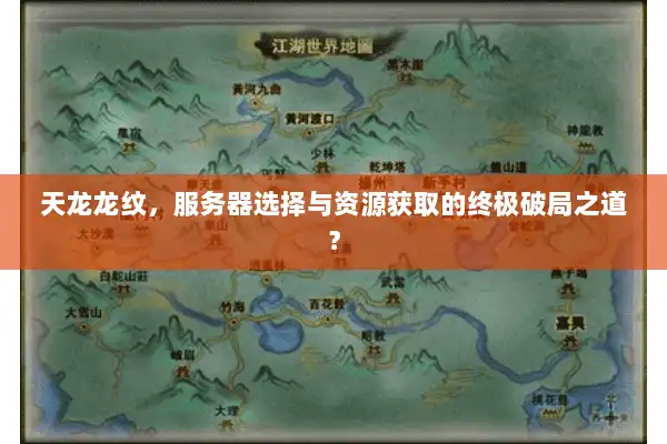天龙龙纹,服务器选择与资源获取的终极破局之道? 天龙龙纹,服务器选择与资源获取的终极破局之道?