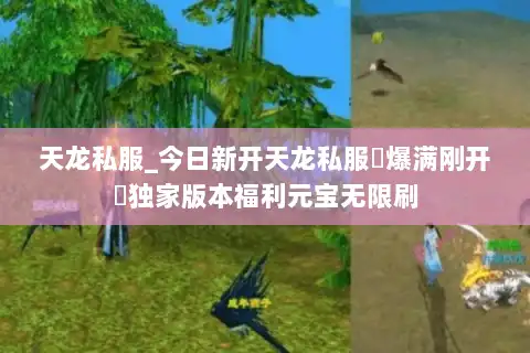 天龙私服_今日新开天龙私服▷爆满刚开◁独家版本福利元宝无限刷