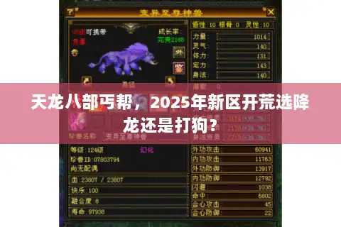天龙八部丐帮,2025年新区开荒选降龙还是打狗? 天龙八部丐帮,2025年新区开荒选降龙还是打狗?