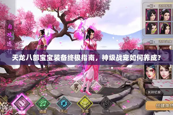 天龙八部宝宝装备终极指南，神级战宠如何养成？