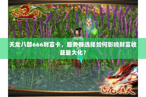 天龙八部666财富卡，服务器选择如何影响财富收益最大化？