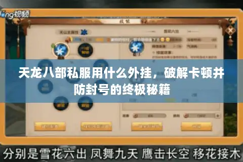 天龙八部私服用什么外挂，破解卡顿并防封号的终极秘籍