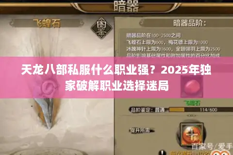 天龙八部私服什么职业强？2025年独家破解职业选择迷局