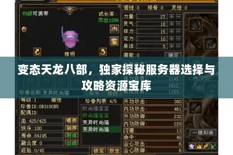 变态天龙八部，独家探秘服务器选择与攻略资源宝库