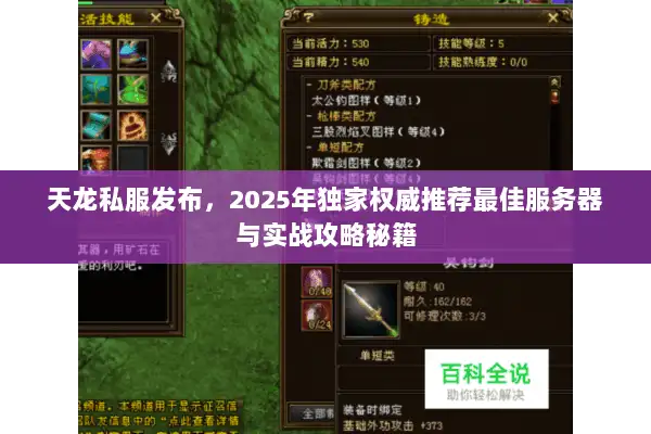天龙私服发布，2025年独家权威推荐最佳服务器与实战攻略秘籍