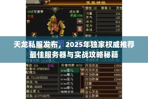 天龙私服发布，2025年独家权威推荐最佳服务器与实战攻略秘籍