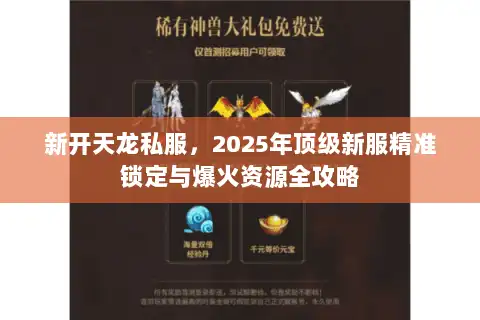 新开天龙私服，2025年顶级新服精准锁定与爆火资源全攻略