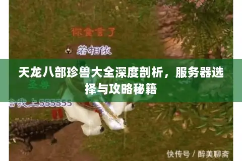 天龙八部珍兽大全深度剖析，服务器选择与攻略秘籍
