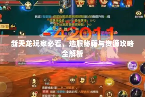 新天龙玩家必看，选服秘籍与资源攻略全解析