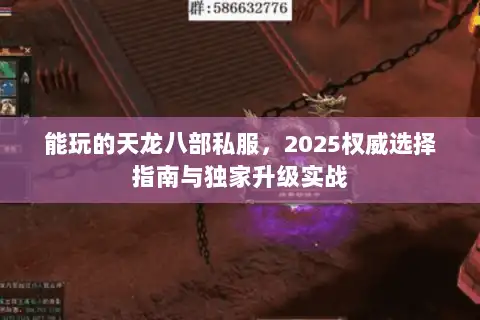 能玩的天龙八部私服，2025权威选择指南与独家升级实战