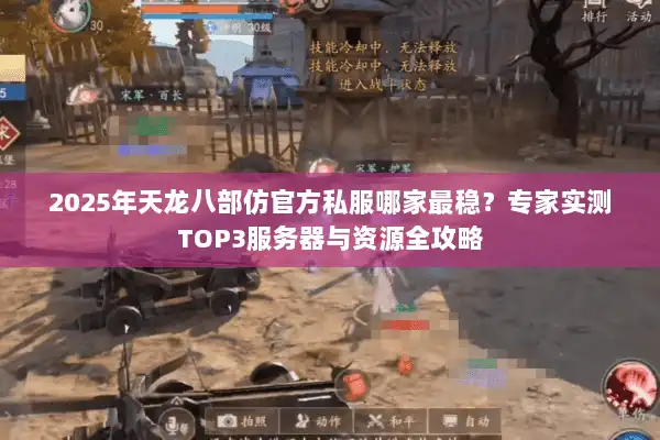 2025年天龙八部仿官方私服哪家最稳？专家实测TOP3服务器与资源全攻略