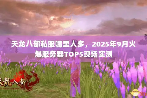 天龙八部私服哪里人多，2025年9月火爆服务器TOP5现场实测