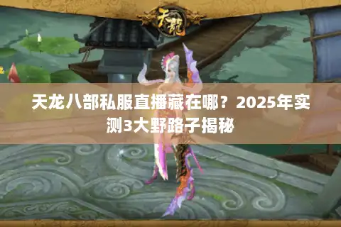 天龙八部私服直播藏在哪？2025年实测3大野路子揭秘