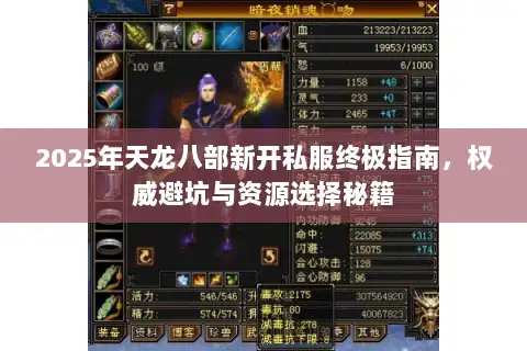 2025年天龙八部新开私服终极指南，权威避坑与资源选择秘籍