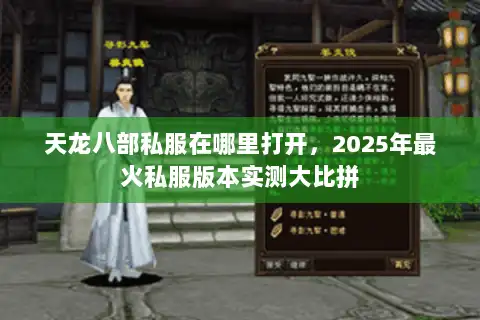 天龙八部私服在哪里打开，2025年最火私服版本实测大比拼