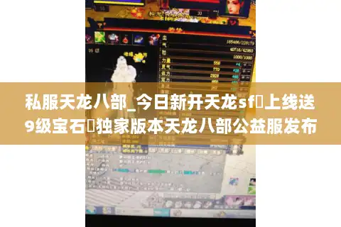 私服天龙八部_今日新开天龙sf◁上线送9级宝石▷独家版本天龙八部公益服发布网