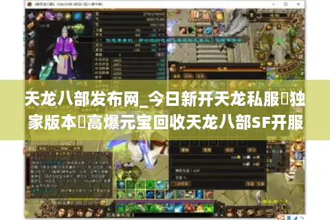 天龙八部发布网_今日新开天龙私服▷独家版本◁高爆元宝回收天龙八部SF开服列表