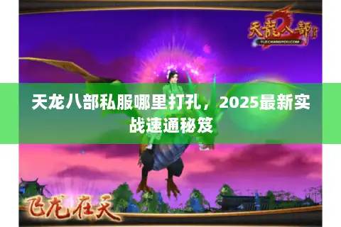 天龙八部私服哪里打孔，2025最新实战速通秘笈
