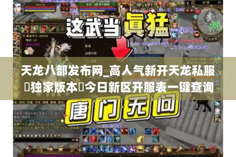 天龙八部发布网_高人气新开天龙私服▷独家版本◁今日新区开服表一键查询