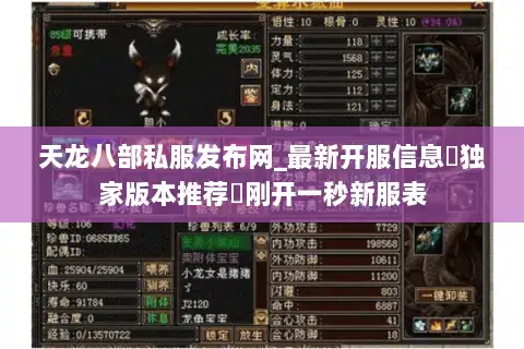 天龙八部私服发布网_最新开服信息▷独家版本推荐◁刚开一秒新服表