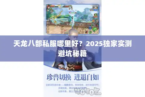 天龙八部私服哪里好？2025独家实测避坑秘籍