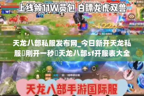 天龙八部私服发布网_今日新开天龙私服▷刚开一秒◁天龙八部sf开服表大全