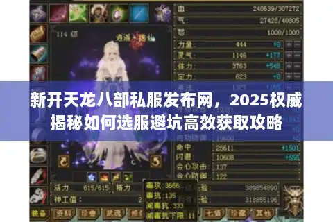 新开天龙八部私服发布网，2025权威揭秘如何选服避坑高效获取攻略