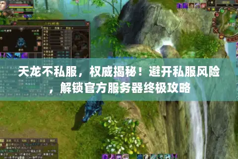 天龙不私服，权威揭秘！避开私服风险，解锁官方服务器终极攻略