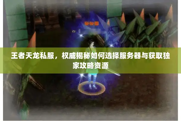 王者天龙私服，权威揭秘如何选择服务器与获取独家攻略资源