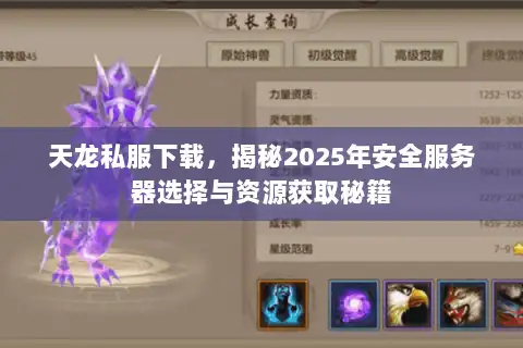 天龙私服下载，揭秘2025年安全服务器选择与资源获取秘籍
