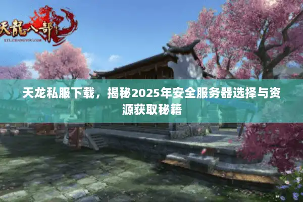 天龙私服下载，揭秘2025年安全服务器选择与资源获取秘籍