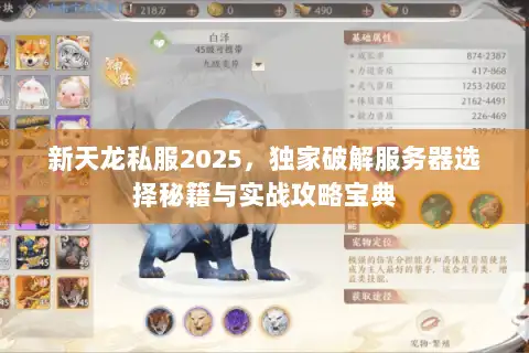 新天龙私服2025，独家破解服务器选择秘籍与实战攻略宝典