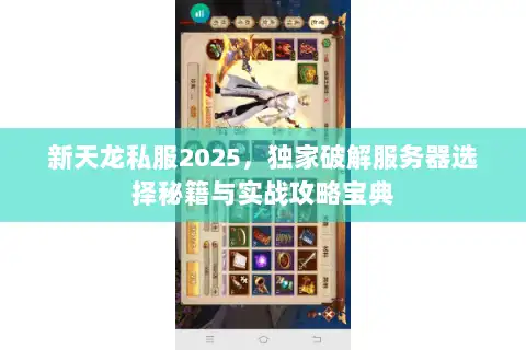 新天龙私服2025，独家破解服务器选择秘籍与实战攻略宝典