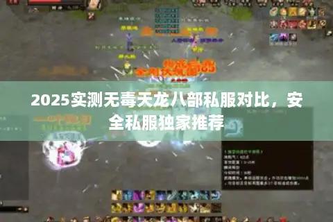 2025实测无毒天龙八部私服对比，安全私服独家推荐