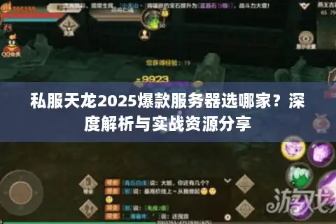 私服天龙2025爆款服务器选哪家？深度解析与实战资源分享