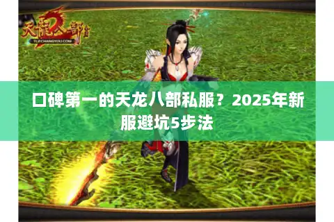 口碑第一的天龙八部私服？2025年新服避坑5步法