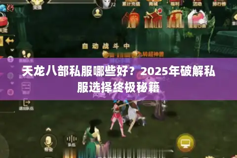 天龙八部私服哪些好？2025年破解私服选择终极秘籍