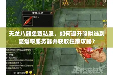 天龙八部免费私服，如何避开陷阱选到高爆率服务器并获取独家攻略？