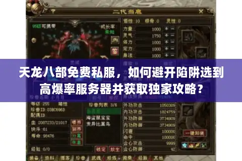 天龙八部免费私服，如何避开陷阱选到高爆率服务器并获取独家攻略？