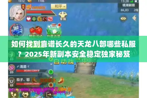 如何找到靠谱长久的天龙八部哪些私服？2025年新副本安全稳定独家秘笈
