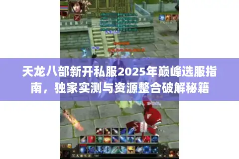 天龙八部新开私服2025年巅峰选服指南，独家实测与资源整合破解秘籍