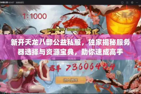 新开天龙八部公益私服，独家揭秘服务器选择与资源宝典，助你速成高手