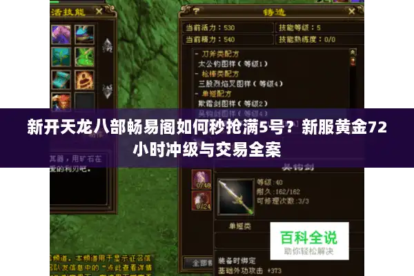 新开天龙八部畅易阁如何秒抢满5号？新服黄金72小时冲级与交易全案