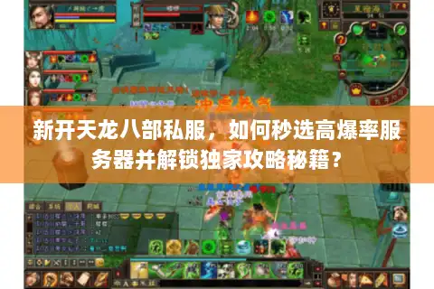 新开天龙八部私服，如何秒选高爆率服务器并解锁独家攻略秘籍？