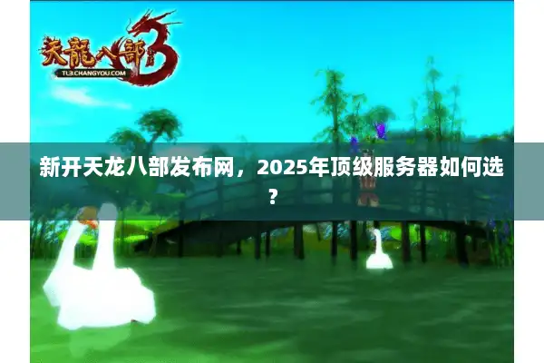 新开天龙八部发布网，2025年顶级服务器如何选？